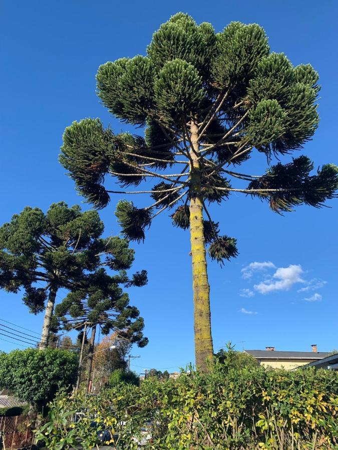 Paz Na Montanha Hotel Campos do Jordão Екстериор снимка